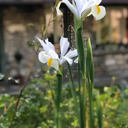 Bed & Breakfast Le Clos Des Songes Blaru